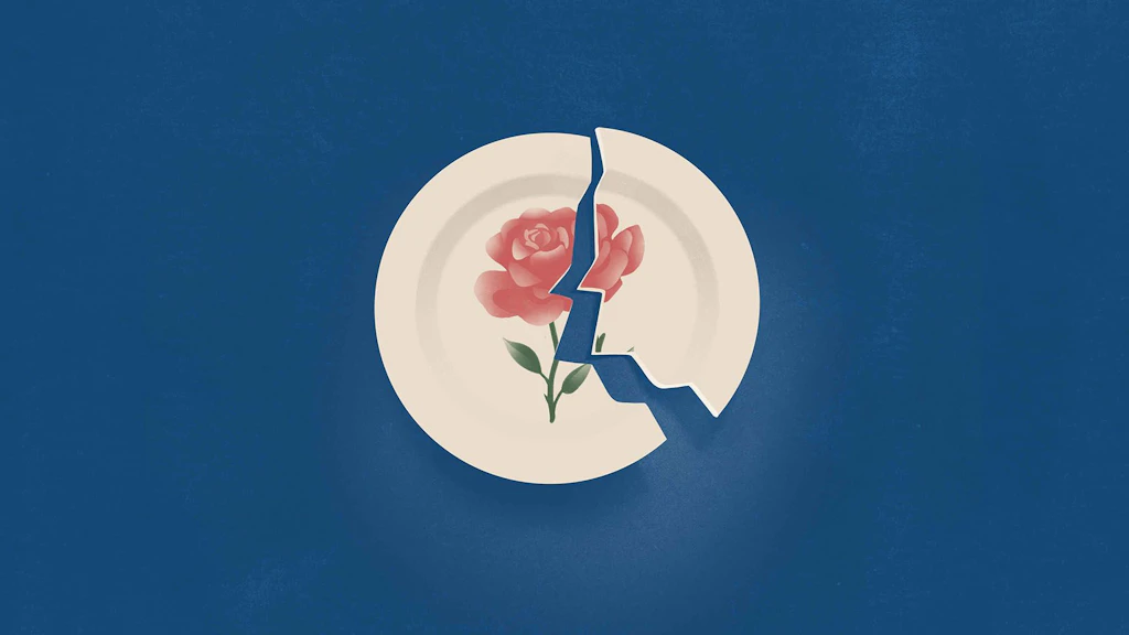 A broken ceramic plate symbolises domestic violence.